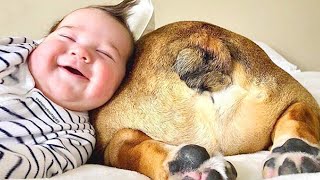 ¡Perros que hacen felices a los bebés!