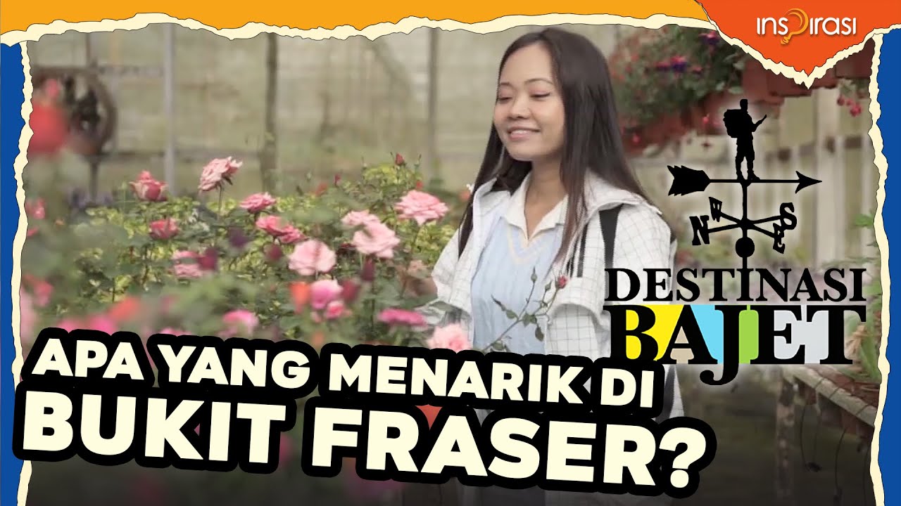 #DestinasiBajet - Apa yang menarik di Bukit Fraser?