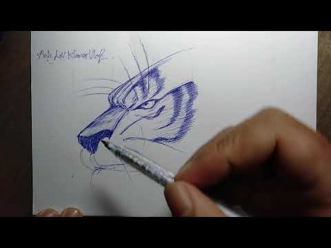 Video Vẽ Hình Con Hổ Không Tua Nhanh || A Tutorial to draw a... - youtube