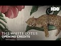 The white lotus opening credits theme song  the white lotus  hbo