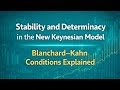 🌿Stability and Determinacy in the New Keynesian Model | Blanchard–Kahn Conditions Explained🌿