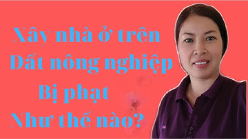 Xây nhà ở trên đất nông nghiệp bị phạt như thế nào?|Vũ Thị Na