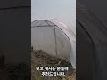 오송읍 호계리 계획관리