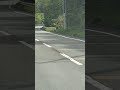 懐旧、舟木一夫さん「踊ろうぼくと」。お猿さん!横断歩道を渡ってくださいませ!