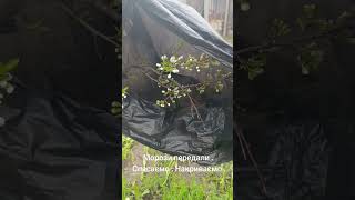 Передали морози . І ми все накриваємо . Прифронтова зона на зв'язку