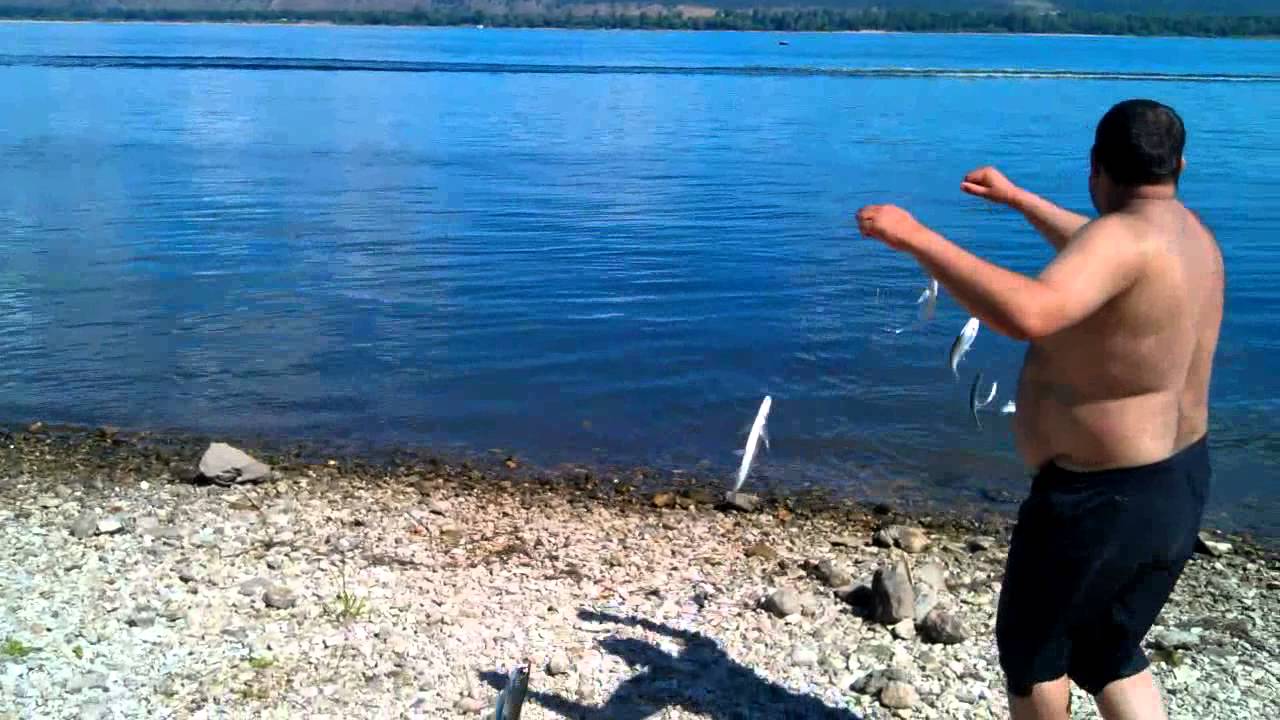 Рыбалка на р.Волга. Самара Зольное - YouTube