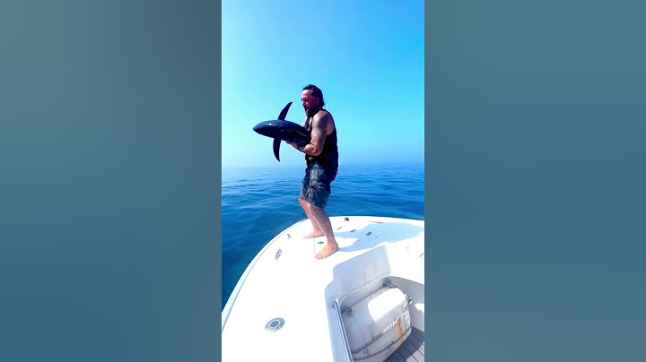 Deze man sprong met een haai in de zee! 🦈