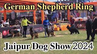 German Shepherd Ring | Jaipur Dog Show 2024