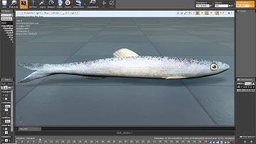 Fish 1 UE4 Animation