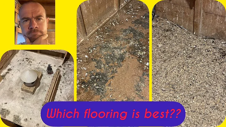 Which flooring and floor dressing should I use in my pigeon loft???