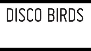 Disco Birds