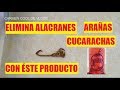 COMO ELIMINAR ALACRANES, CUCARACHAS, ARAÑAS ETC. | Carmen Cool de Vlogs