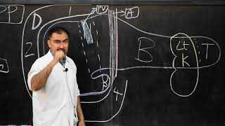 GROSS ANATOMY OF PANCREAS - 1