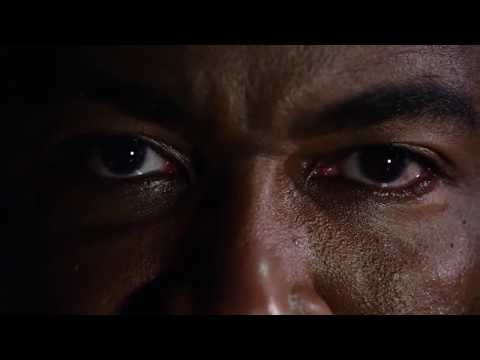 falcon-rising---trailer