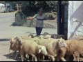 Э ге гей хали гали Цоб цобэ Э ге гей хали гали Цоб цобэ