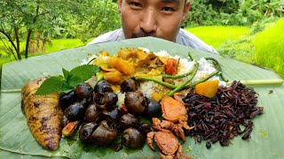 Grasshopper Snail Crab Pumpkin Curry Etc Luxury Naga Farmers Food Kents Vlog
