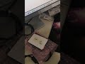 I CODE SLI read and write testing video