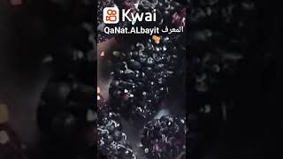 short التوت البري الأسود فوائد لا تنتهي سبحان الله العظيم