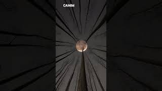 İçim Yanar Yanar - Şahin Kendirci Resimi