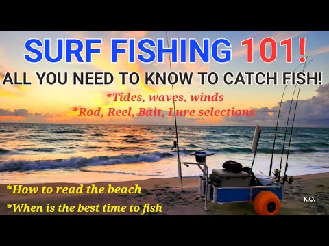 Surf Fishing 101! How To Read The Beach? The Best Tide And Wind