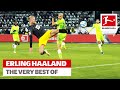 Erling Haaland - The Best Skills & Goals