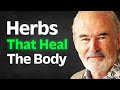The most powerful herbs that help heal the body  prevent disease  simon mills
