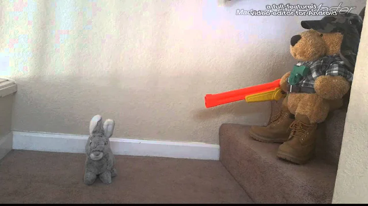 Indoor rabbit hunting