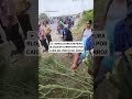 Piura paralizada: agricultores toman vías y exigen ayuda urgente al Gobierno | El Comercio