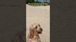 Tune Time With Winnie