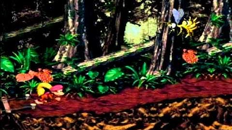 Donkey Kong Country 2: Diddy