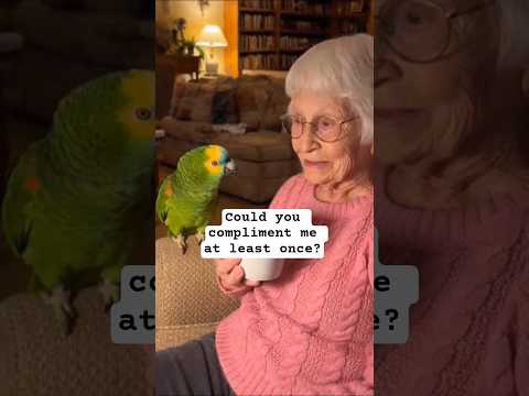   اكسبلور مضحك  