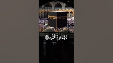 تلاوة الشيخ سعد الغامدي #quran #اكسبلور #التوبة #دويتو #يوتيوب #duet #اليوم #لايك #تيك_توك