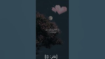 وأفوض أمري إلى الله إن الله بصير بالعباد | سورة غافر || هزاع البلوشي ||