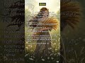 ♍ Дева | 27.10.2025 | Сила слова и глубоких прозрений 🗣️