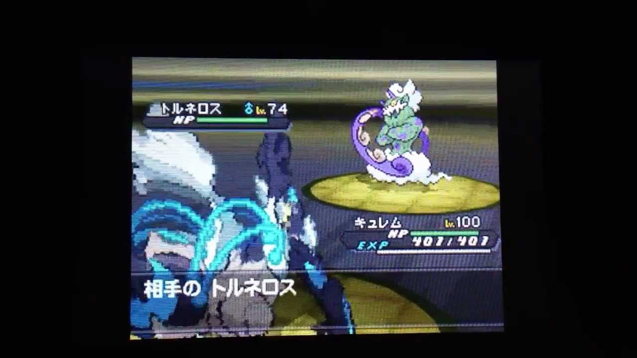 bw2 黒 の 摩天楼 オススメ ポケモン