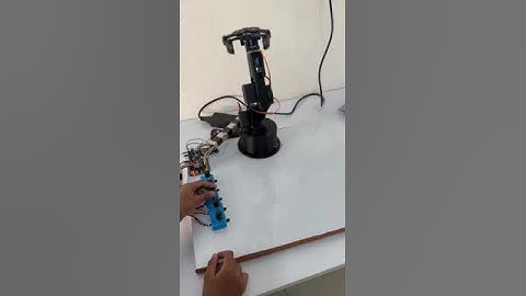 Experience the Future of Robotics with Leap Robots!