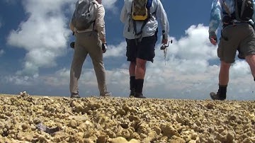 The Guides Company Providence Seychelles