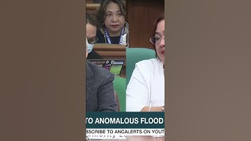 Sarah Discaya defends her family