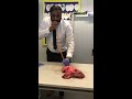 Lung inflation in Science Lesson                                      #science #teacher #biology Mp3 Song