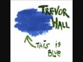 Trevor hall  well i say  with lyrics