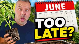 What to Plant in June (Before It's Too Late)
