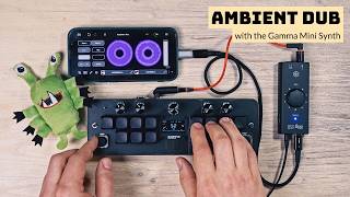 Ambient dub live looping | Gamma Mini Synth + Loopy Pro screenshot 2