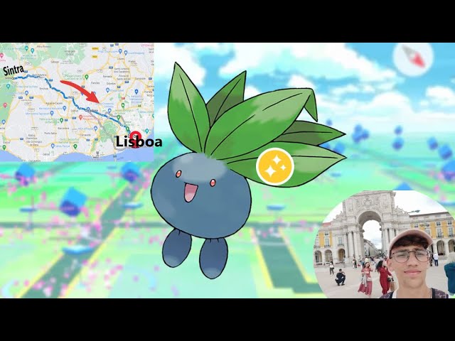 CONSEGUI 25 SHINIES NO CAMINHO DA ALEGRIA ✨ - POKÉMON GO FAKE GPS 