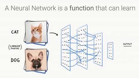 Cat Dog Neural network (BEST VISUALIZATION)