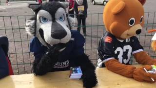 Autogramm Stunde In Berlin Germanbowl