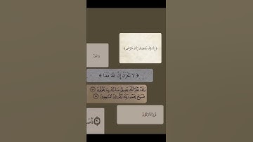 الا بذكر الله تطمئن القلوب❤️حالات واتس دينية ستوريات انستا قصيرة قرآن كريم