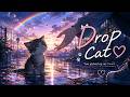 Drop cat♡