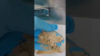 Beginilah cara pembuatan bubuk protein jangkrik #seranggayangdapatdimakan #bubukprotein #protein