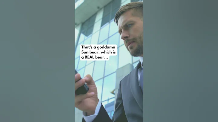 Is The China Zoo Bear a Person?