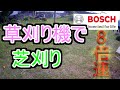 草刈り機で芝を刈ってみる。